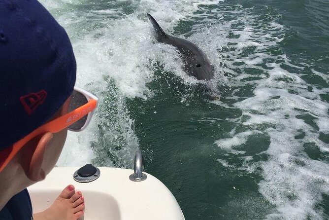 Dolphin Tours - Fort Myers Beach / Naples - Final Thoughts: Who Is This Tour Best For?
