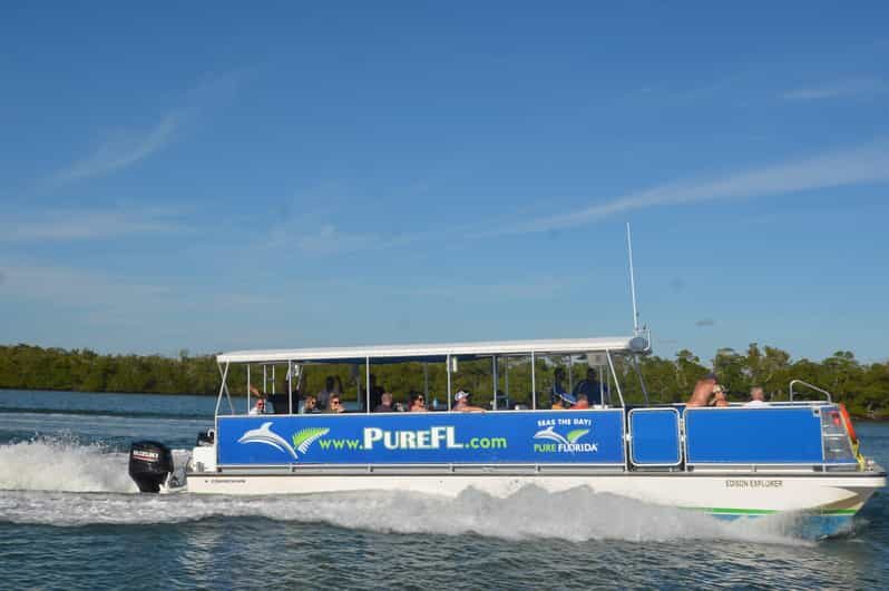 Dolphin Watch/Eco Cruise - What to Expect on the Tour