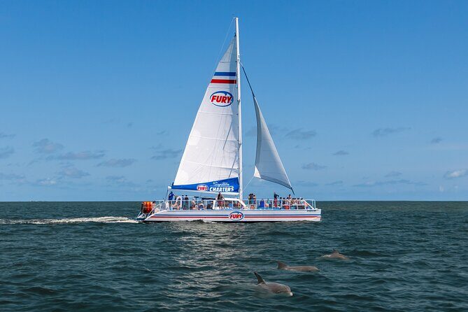 Dolphin Watch & Harbor Tour in Historical St. Augustine - Why We Like This Tour