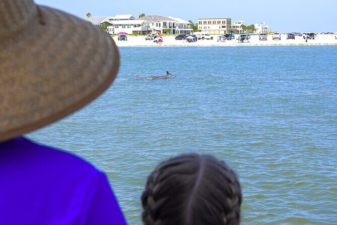 Dolphin Watch & Harbor Tour in Historical St. Augustine - Considerations for Travelers