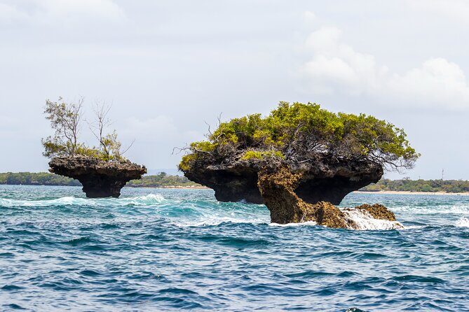 Dolphin Watch & Snorkeling at Kisite Marine Park & Wasini Island - Practical Tips for Travelers