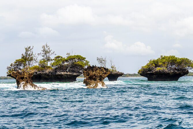 Dolphin Watch & Snorkeling at Kisite Marine Park & Wasini Island - The Sum Up