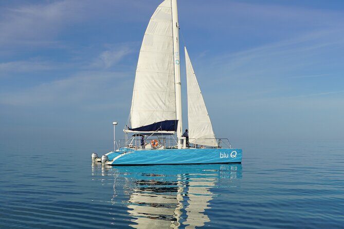 Dolphin Watch + Sunset Sail with Honest Eco - An In-Depth Look at the Experience