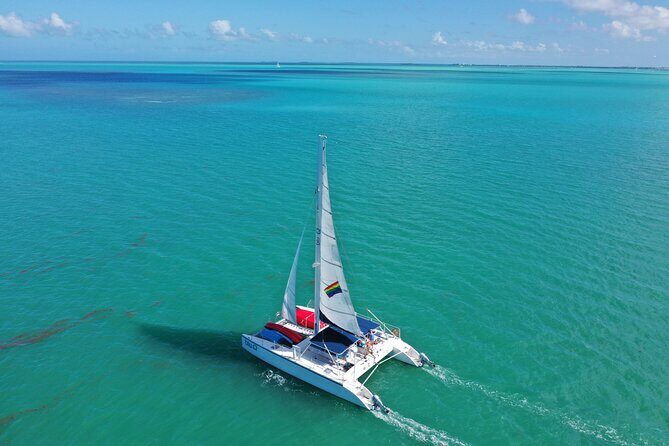 Dolphin Watch + Sunset Sail with Honest Eco - The Scenic Journey: What to Expect