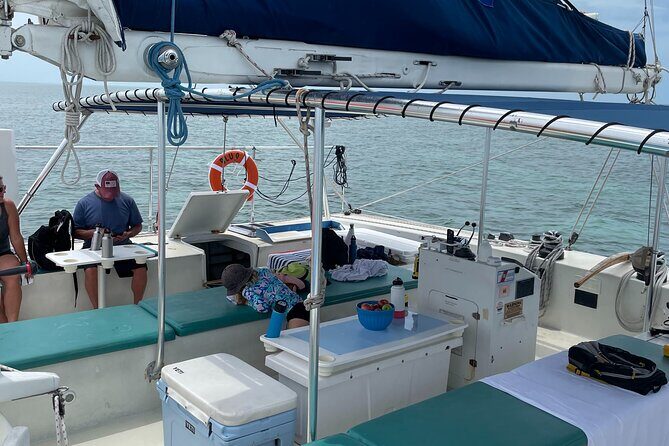 Dolphin Watch + Sunset Sail with Honest Eco - The Authenticity and Value