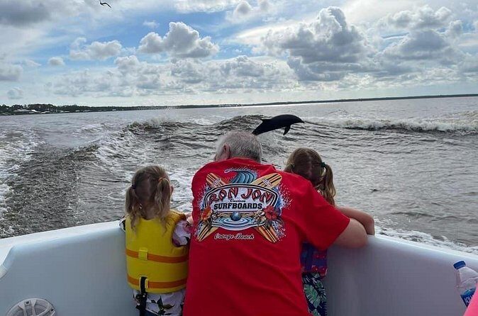Dolphin Watching aboard the Cold Mil Fleet - The Experience Itself: Detailed Breakdown