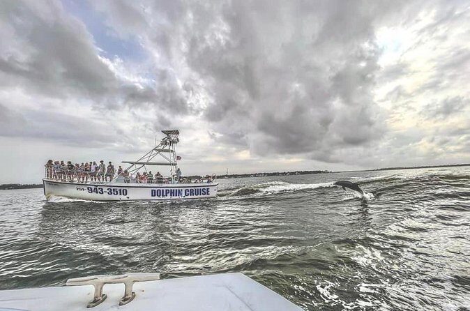 Dolphin Watching aboard the Cold Mil Fleet - FAQ