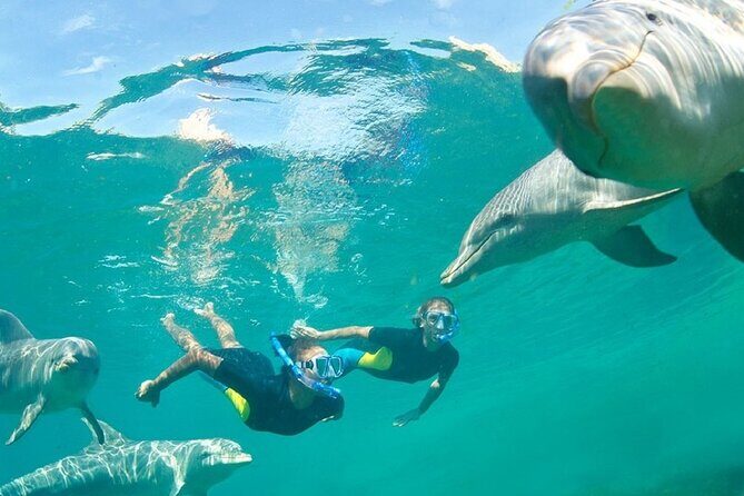 Dolphin Watching and Snorkeling Activity in Muscat - Frequently Asked Questions