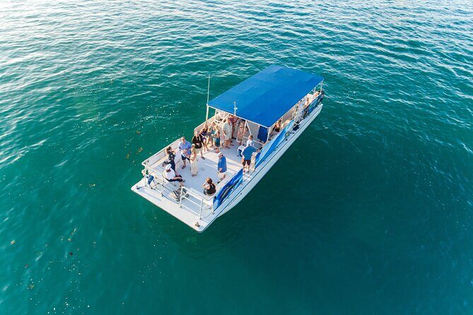 Dolphin Watching and Snorkeling Adventure in Key West - The Sum Up
