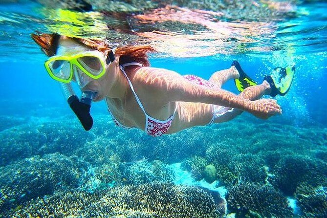 Dolphin Watching and Snorkeling Tour from Muscat - An In-Depth Look at the Tour Experience