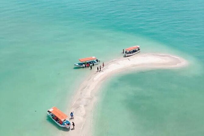 Dolphin watching by private boat from Isla Aguada - An Introduction to the Tour Experience