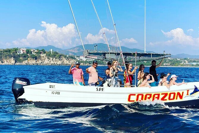 Dolphin Watching - The Sum Up