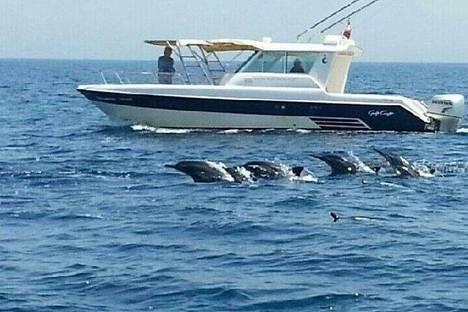 Dolphin Watching in Muscat - FAQs