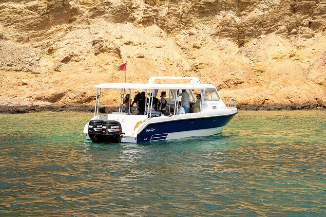 Dolphin Watching in Muscat - Final Words