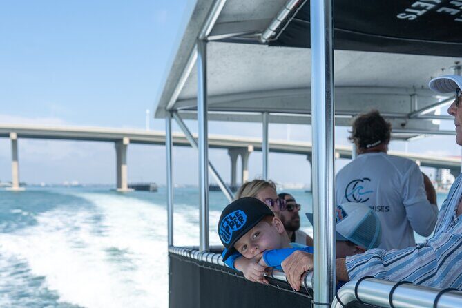 Dolphin Watching Intercoastal Cruise - Discover the Dolphin Watching Intercoastal Cruise in St. Petersburg