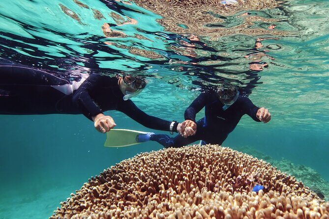 Dolphin Watching & Snorkeling - Exploring the Itinerary: What Makes This Tour Special