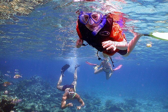 Dolphin Watching & Snorkeling - Who Will Enjoy This Tour?