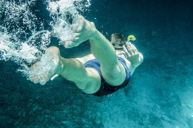 Dolphin Watching & Snorkeling in Key West with Sunset Dinner Cruise and Open Bar - What Past Travelers Say