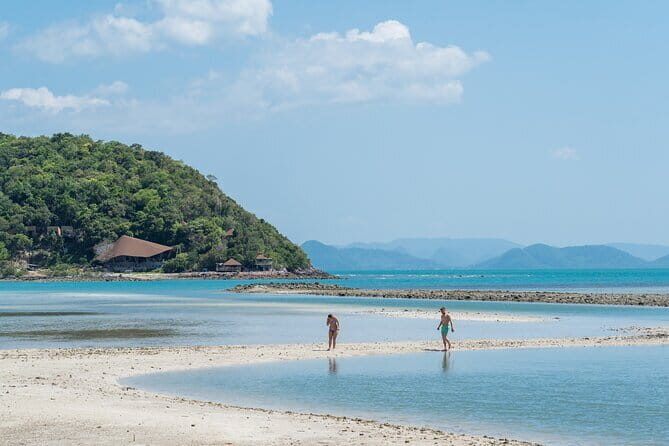 Dolphin Watching Tan and Pig Island Tour from Koh Samui - FAQ