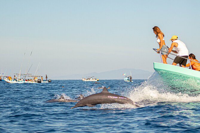 Dolphin Watching Tour - Key Points