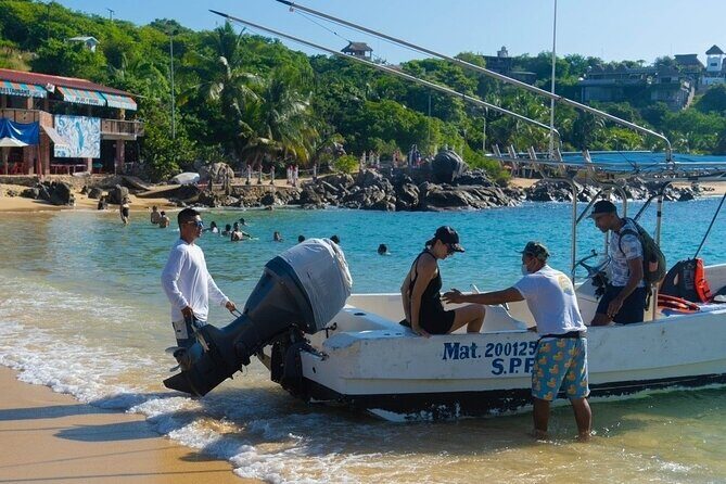 Dolphin Watching Tour - Potential Drawbacks and Considerations