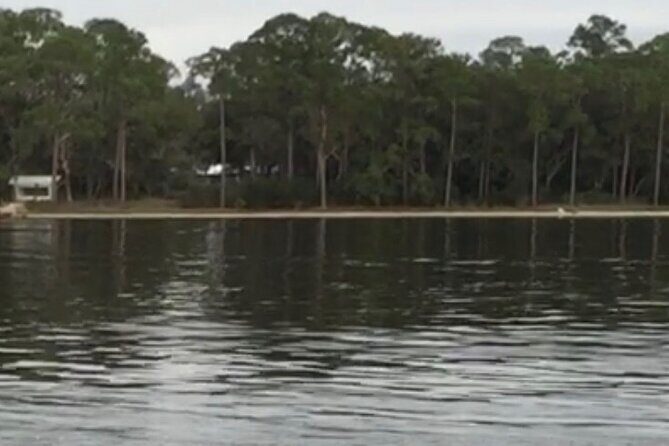 Dolphin Watching Tour in Orange Beach - Who Is This Tour Best For?