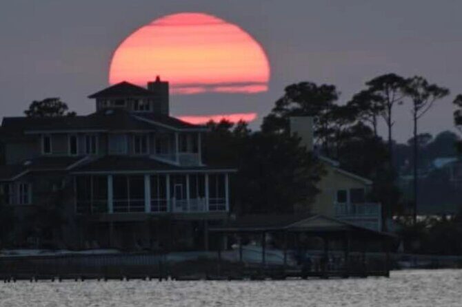 Dolphin Watching Tour in Orange Beach - Final Thoughts: Why Choose The Pink Boat Dolphin Watching Tour?