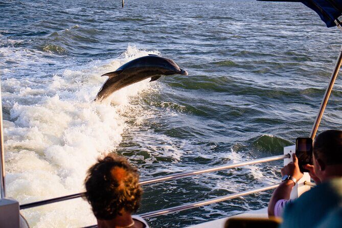 Dolphin Wildlife Cruise Fort Myers Beach - An In-depth Look at the Dolphin Wildlife Cruise