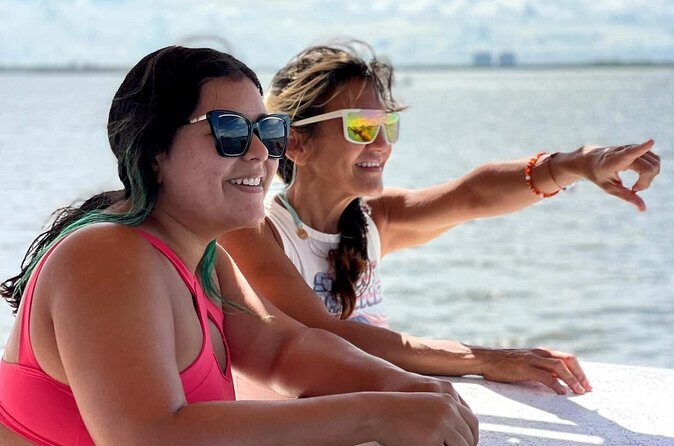 Dolphin Wildlife Cruise Fort Myers Beach - The Sum Up: A Genuine Marine Encounter Worth Your Time