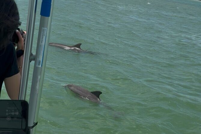 Dolphin Wildlife Cruise Fort Myers Beach - FAQ