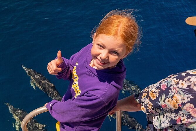 Dolphin & Wildlife Encounters - A Closer Look at the Experience