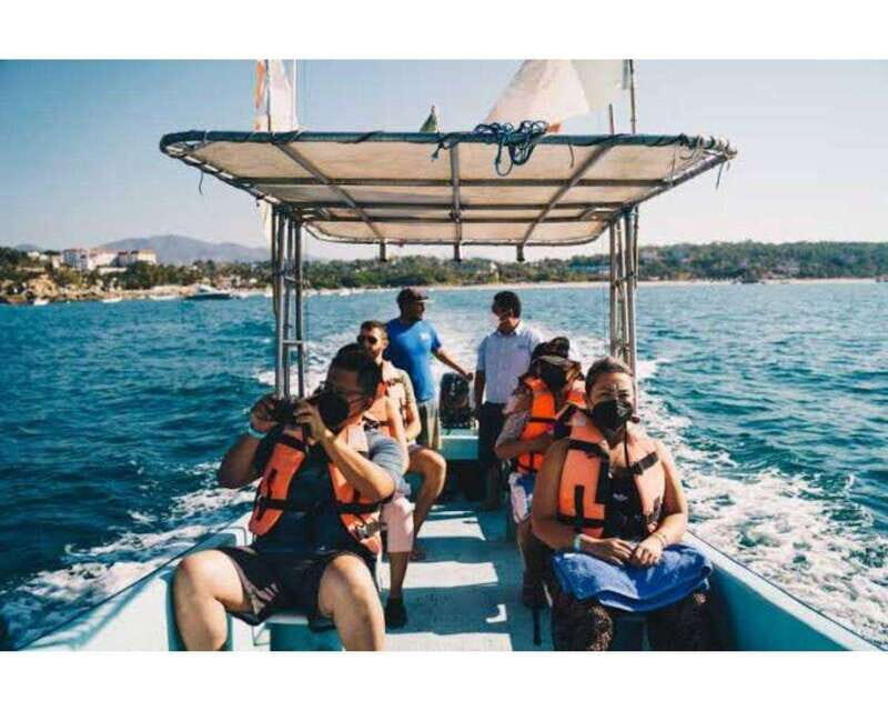 Dolphins and whales watching in Puerto Escondido. - An In-Depth Look at the Marine Adventure