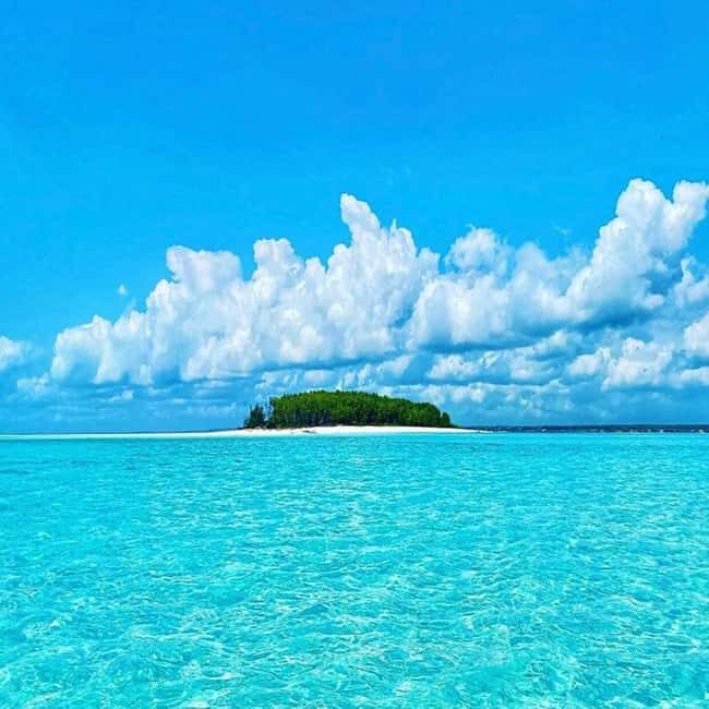 Dolphins & Snorkeling Zanzibar: Mnemba Island Tour - Exploring the Zanzibar Dolphins & Snorkeling Mnemba Island Tour