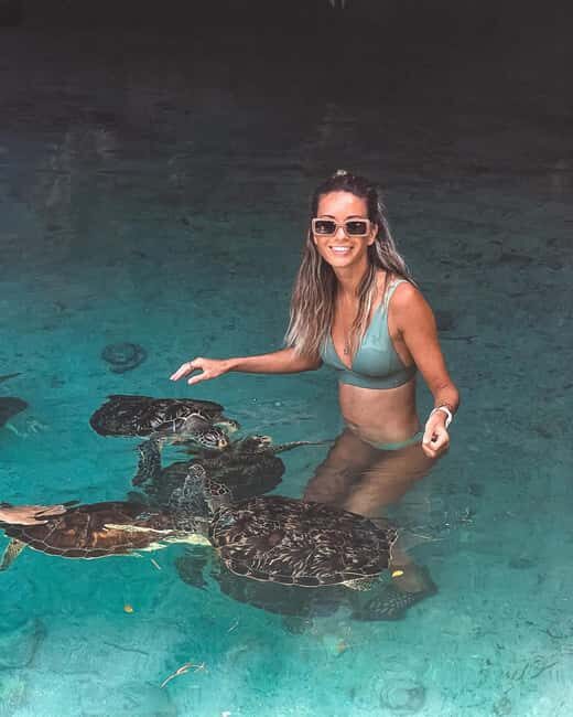 Dolphins tour + mnemba island snorkeling + salaam turles - The Sum Up: a well-rounded marine adventure for curious travelers