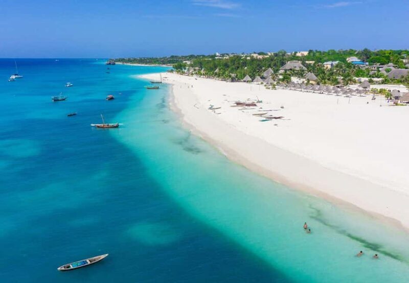 Dolphins Tour! Mnemba Island Snorkeling - Key Points