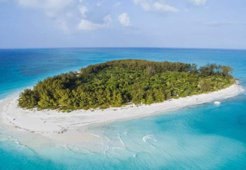 Dolphins Tour! Mnemba Island Snorkeling - Relaxation on the Sandbank and in Shallow Waters