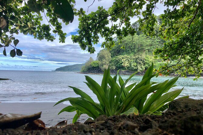 Domestic private transfer, arrival departure, airport hotel cruise rental - A Deep Dive into the Private Transfer Experience in Papeete