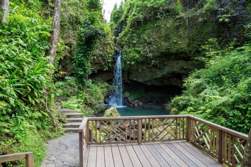 Dominica: Emerald Pool and Mero Beach Shore Excursion - Key Points
