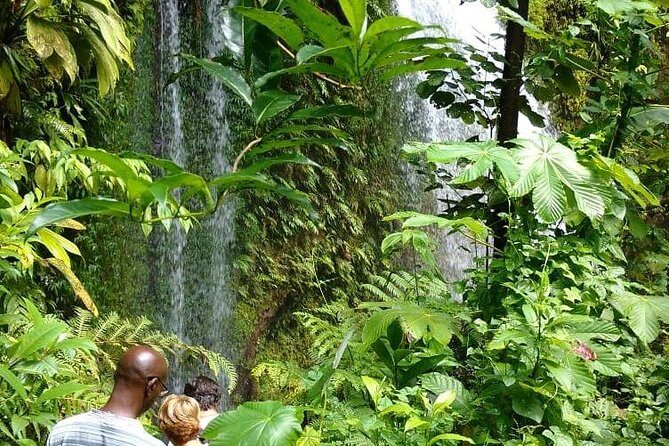 Dominica Half-Day Tour: Mero Beach, Waterfalls, Mineral bath Wotten Waven - FAQs