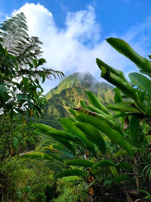 Dominica: Hiking tour to the boiling lake! - The Canyon Swim: A Refreshing Finish
