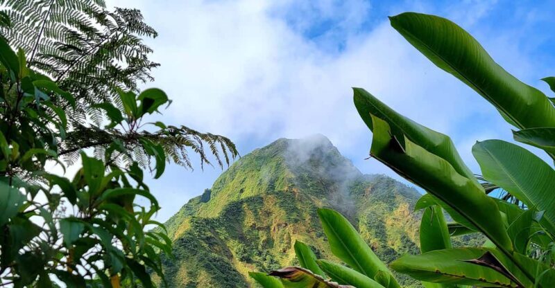 Dominica: Hiking tour to the boiling lake! - Authentic Encounters and Review Highlights