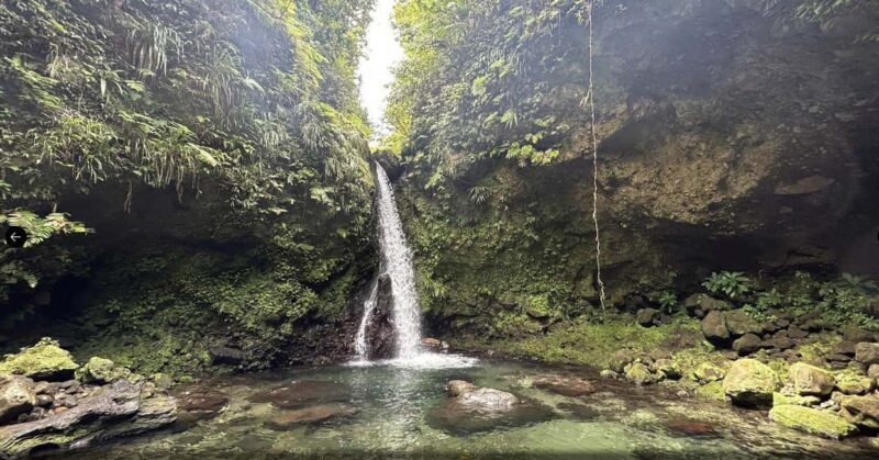 Dominica Hot Springs Waterfalls and Titou Gorge Treasures - An Introduction to the Tour: What You’re Signing Up For