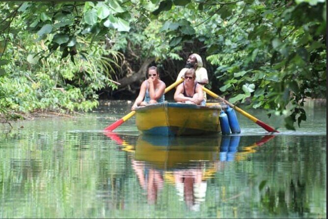 Dominica Indian River Discovery & Beach stop. - Key Points