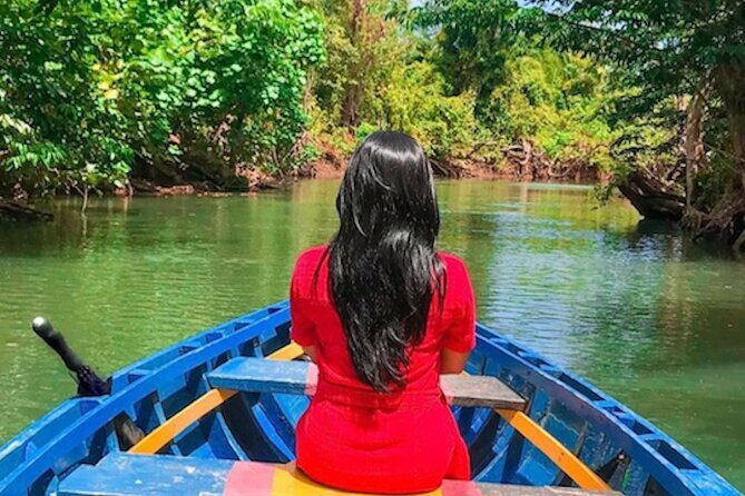 Dominica Indian River Discovery & Beach stop. - Exploring Dominica’s Natural Charms