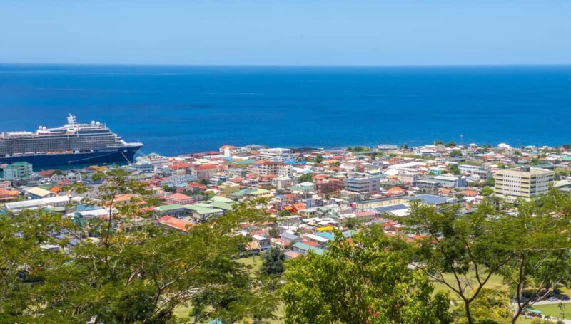 Dominica: Indian River Discovery & Beach Stop Tour - Transportation, Timing, and Group Size