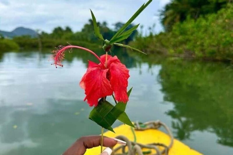 Dominica: Indian River Discovery & Beach Stop Tour - Practical Tips for Travelers