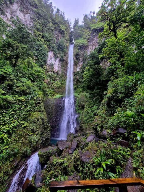 Dominica: Middleham Falls, Titou Gorge, and Trafalgar Falls - Introduction: Why This Tour Stands Out