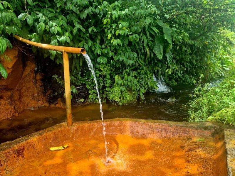Dominica: Middleham Falls, Titou Gorge, and Trafalgar Falls - The Day Unfolds: What You Can Expect