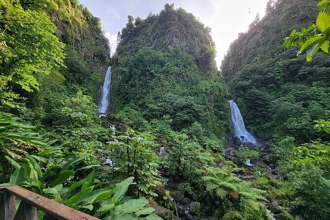 Dominica Roseau City and Rainforest Tour - Real Experiences from Travelers