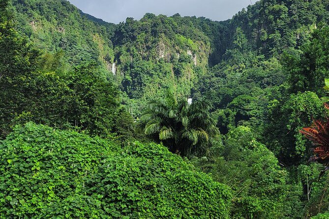 Dominica Scenic Waterfalls and Hot Springs @ Autop Tours - Key Points